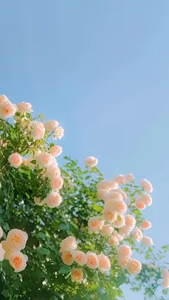 过往不会再重来番外完整番外篇章上线（亦舟温书阮瑶瑶谢明宇）的情感纠葛与成长蜕变