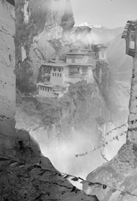 《离婚后，我靠预知追夫火葬场：后续》苏瑶江聿封小说最新章节免费阅读